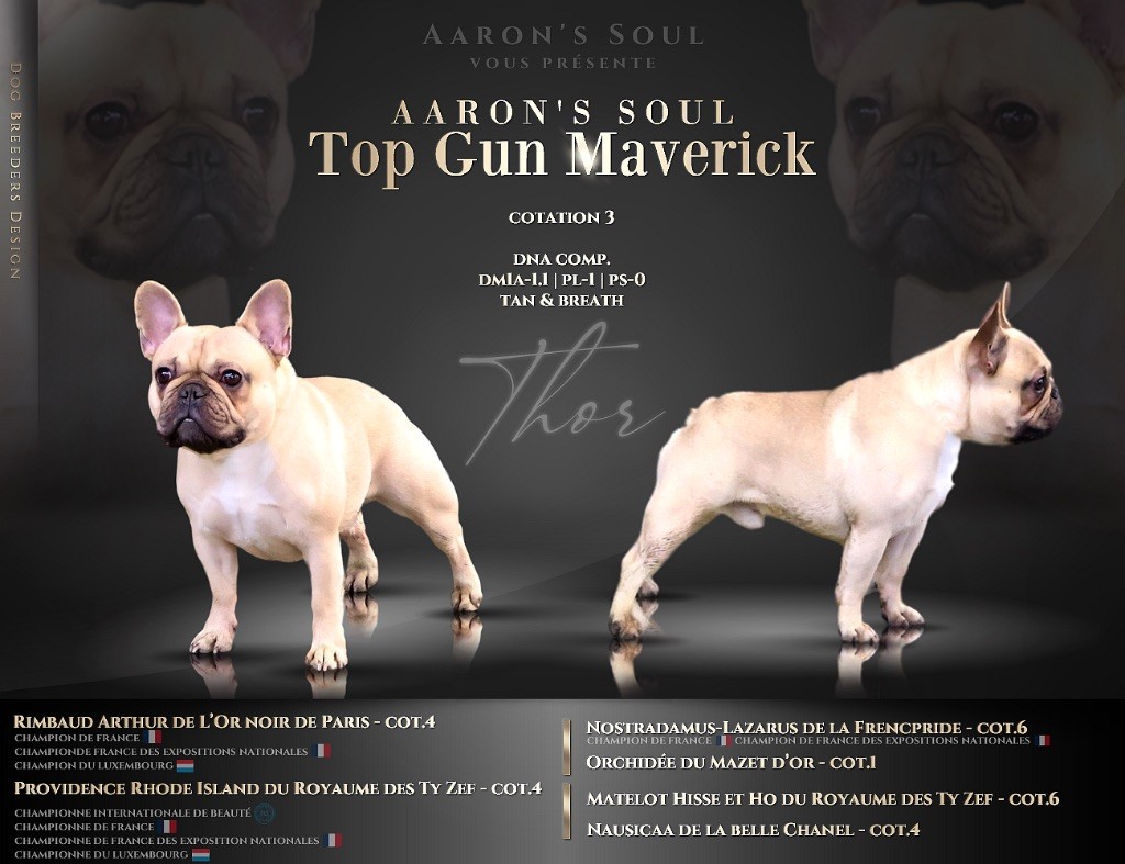 Aaron's Soul Top gun maverick dit thor