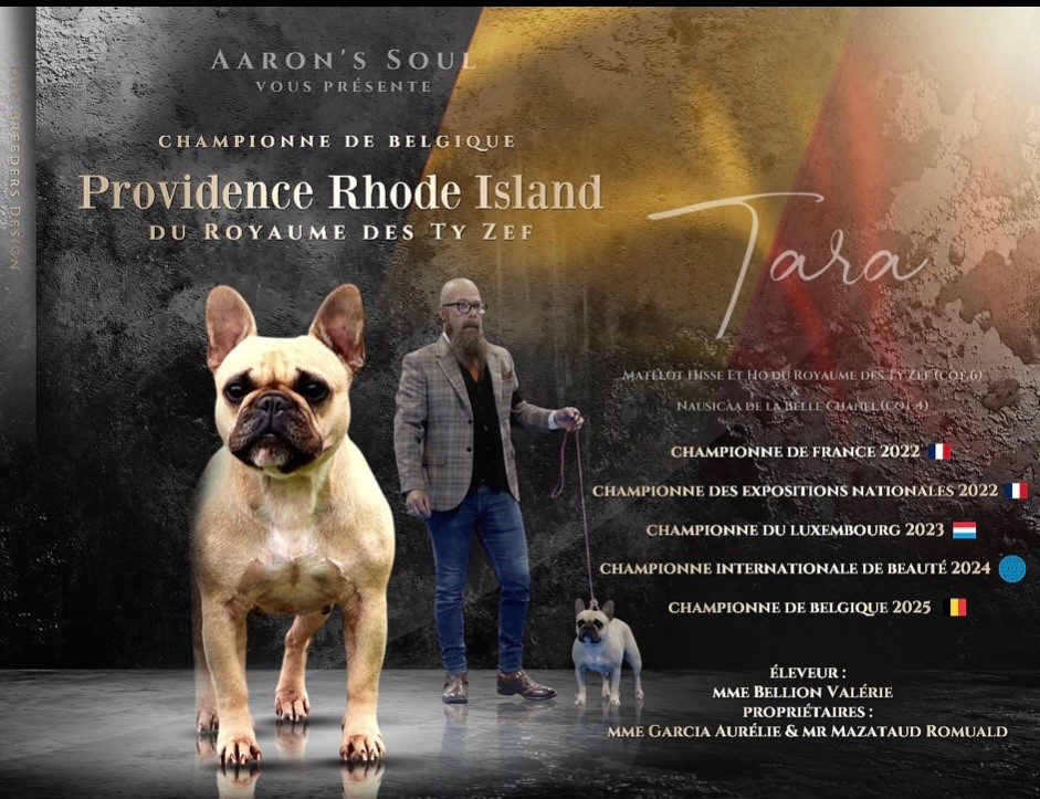 Les Bouledogue français de l'affixe Aaron's Soul