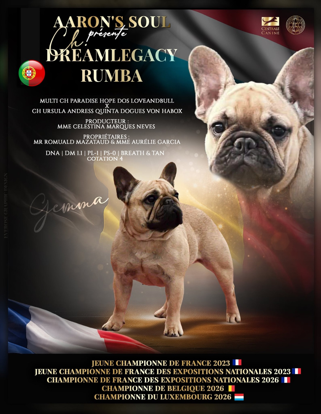 CH. dreamlegacy Rumba