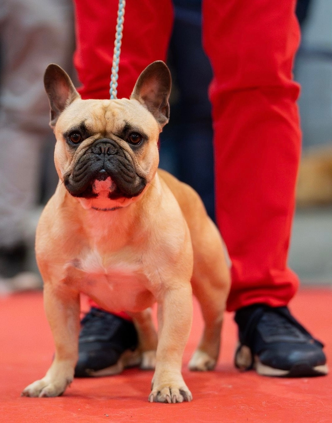 Aaron's Soul Version originelle by tara dit victor