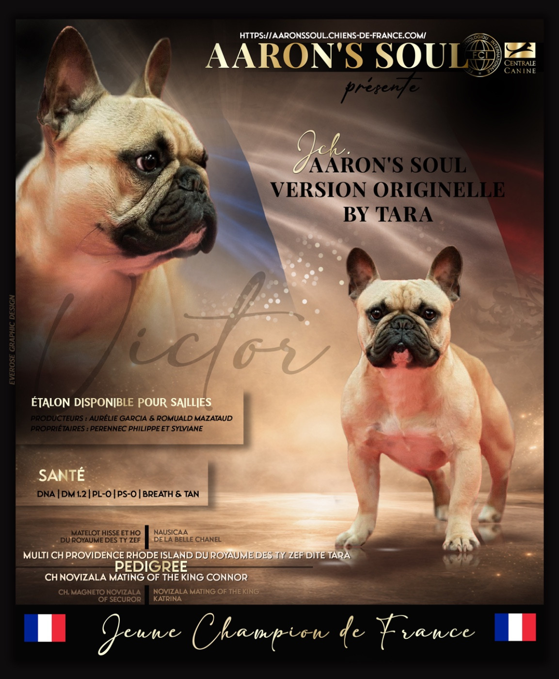 CH. Aaron's Soul Version originelle by tara dit victor